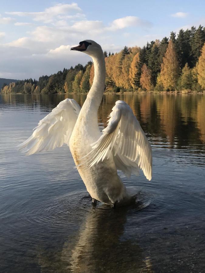 Willa Dum Na Lipne Lipno nad Vltavou Zewnętrze zdjęcie