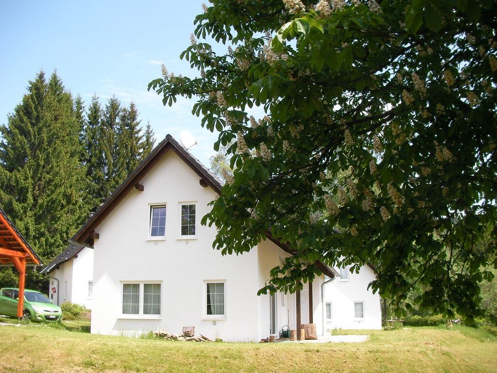 Willa Dum Na Lipne Lipno nad Vltavou Pokój zdjęcie