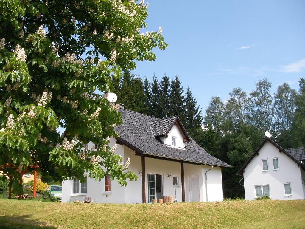 Willa Dum Na Lipne Lipno nad Vltavou Pokój zdjęcie